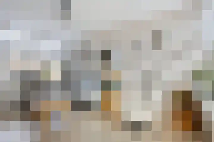 't Rietje 6 Ursem thumbnail 10