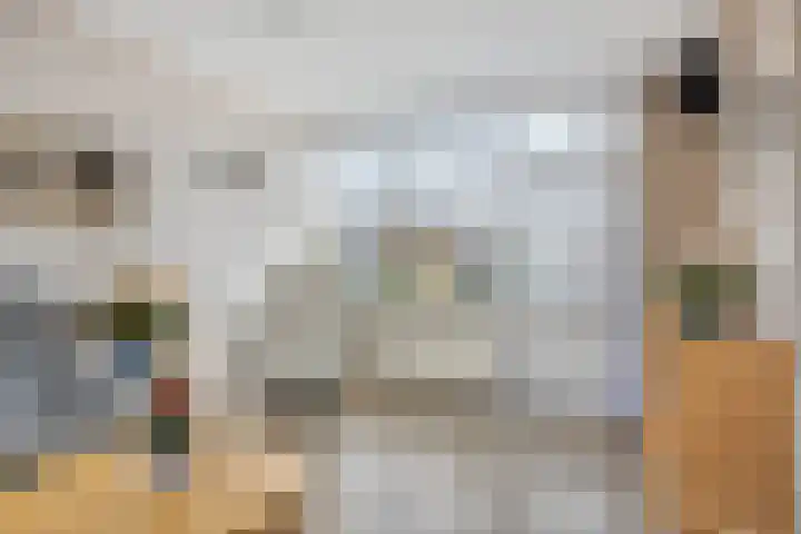 't Rietje 6 Ursem thumbnail 11