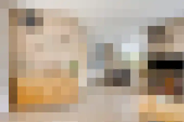 't Rietje 6 Ursem thumbnail 12