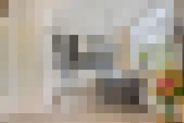 't Rietje 6 Ursem thumbnail 13