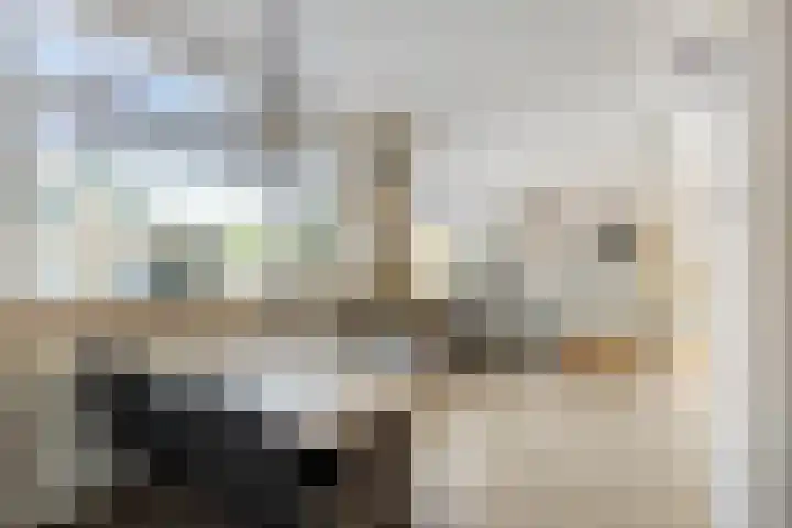 't Rietje 6 Ursem thumbnail 14
