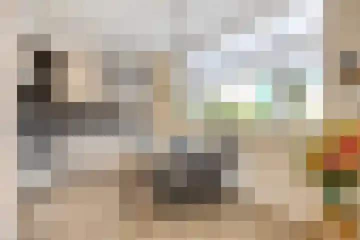 't Rietje 6 Ursem thumbnail 15