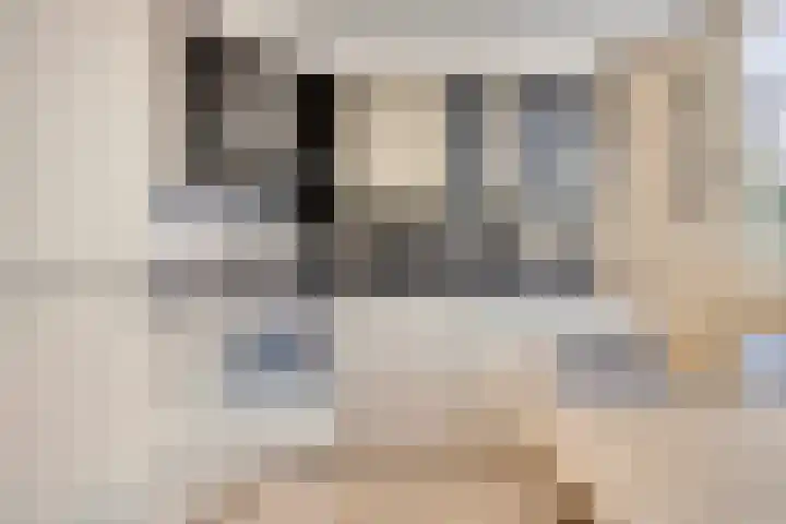 't Rietje 6 Ursem thumbnail 16