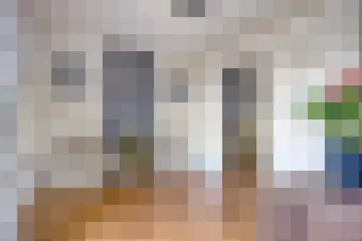 't Rietje 6 Ursem thumbnail 19