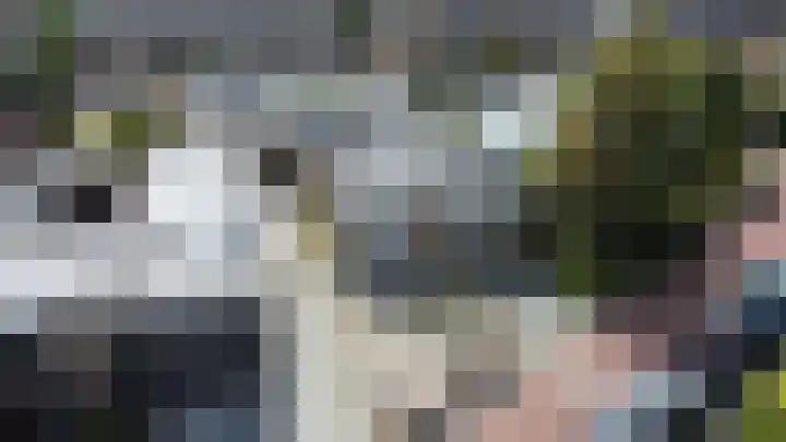 't Rietje 6 Ursem foto 2