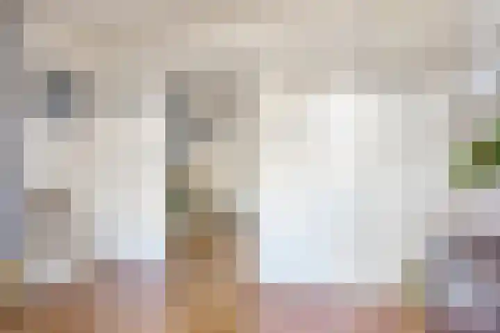 't Rietje 6 Ursem thumbnail 21