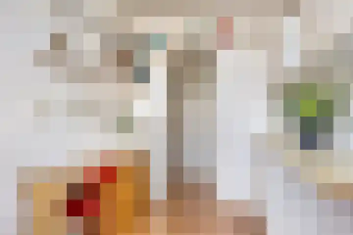 't Rietje 6 Ursem thumbnail 23