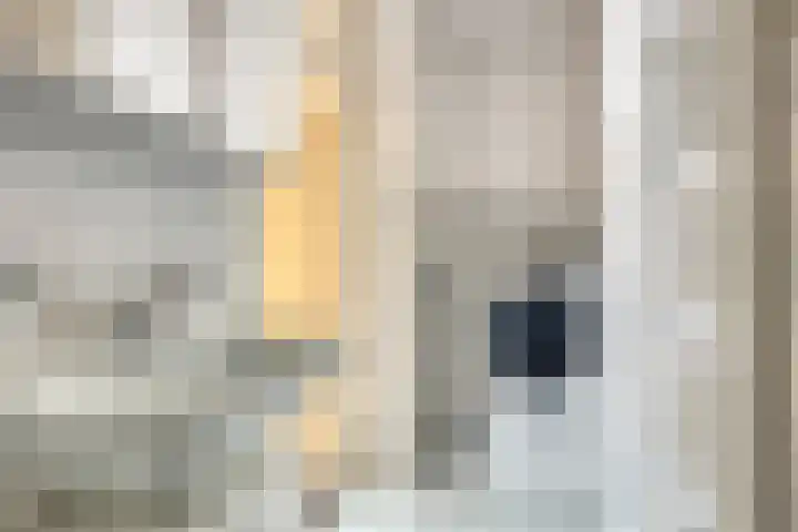 't Rietje 6 Ursem thumbnail 25