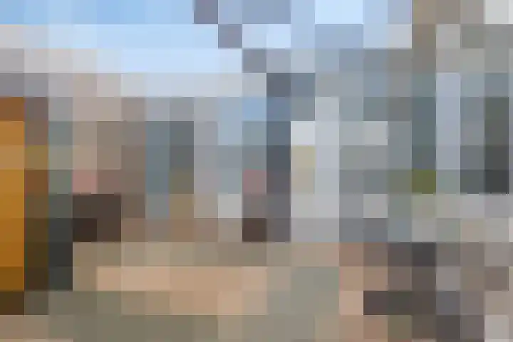 't Rietje 6 Ursem thumbnail 27