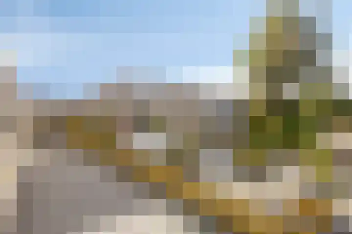 't Rietje 6 Ursem thumbnail 6