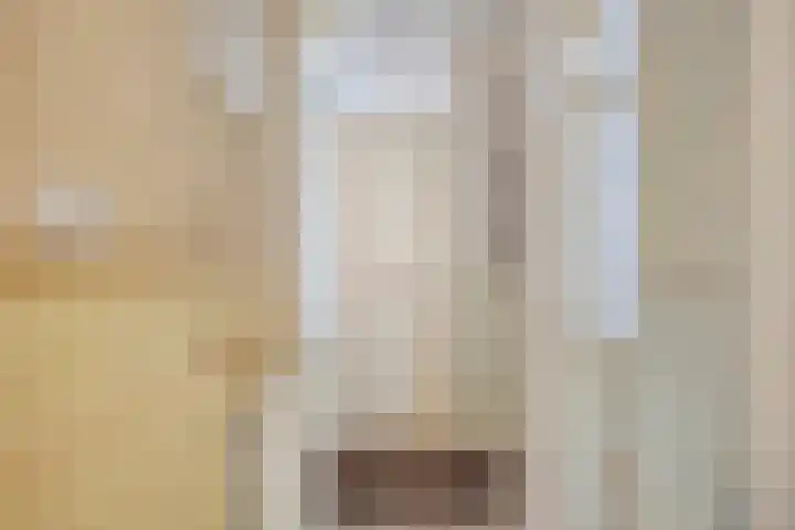 't Rietje 6 Ursem thumbnail 7