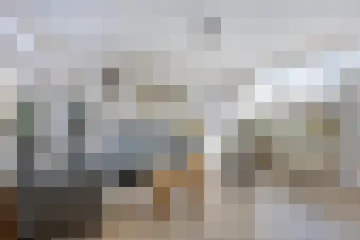 't Rietje 6 Ursem thumbnail 9