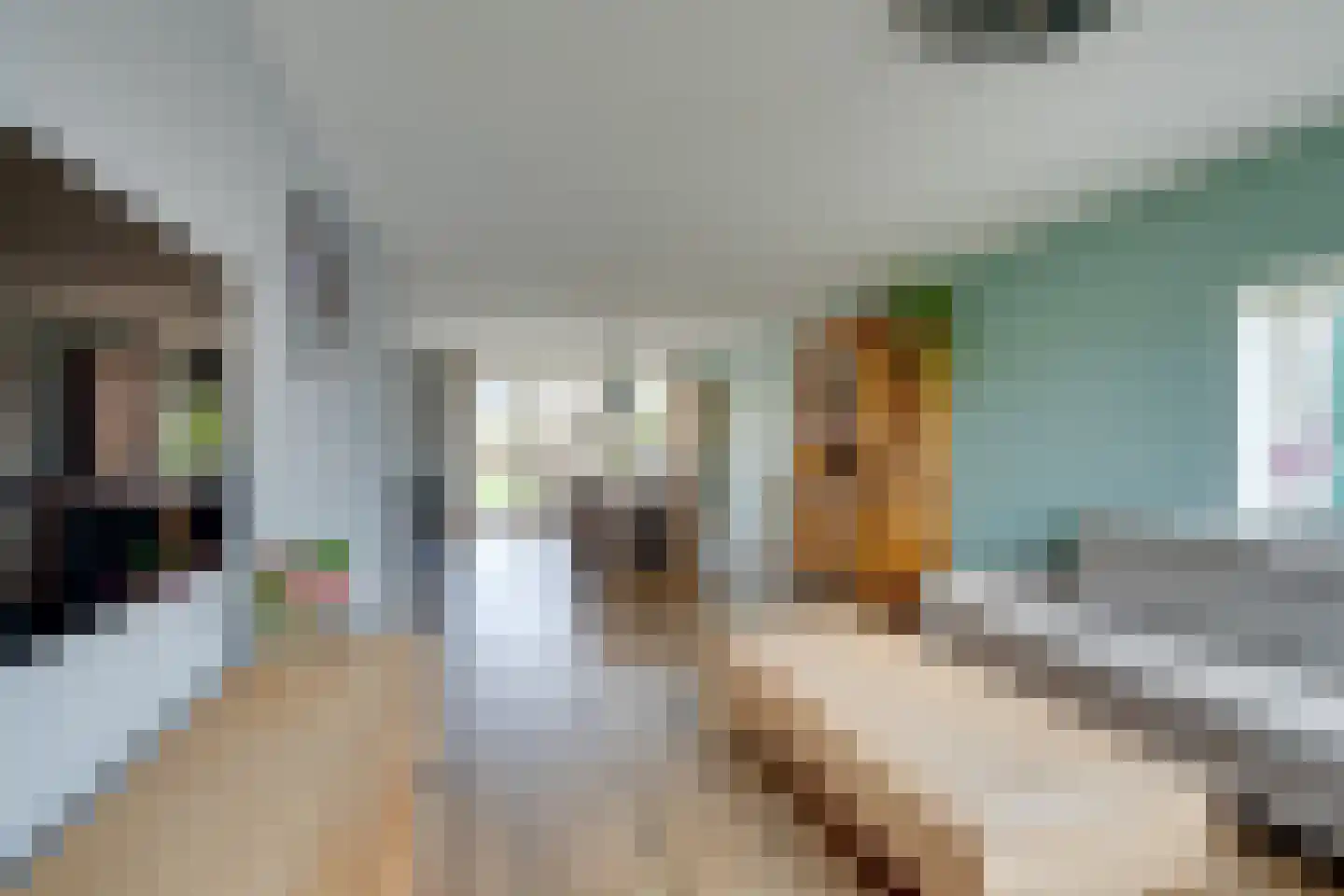 't Rietje 7 Ursem thumbnail 14