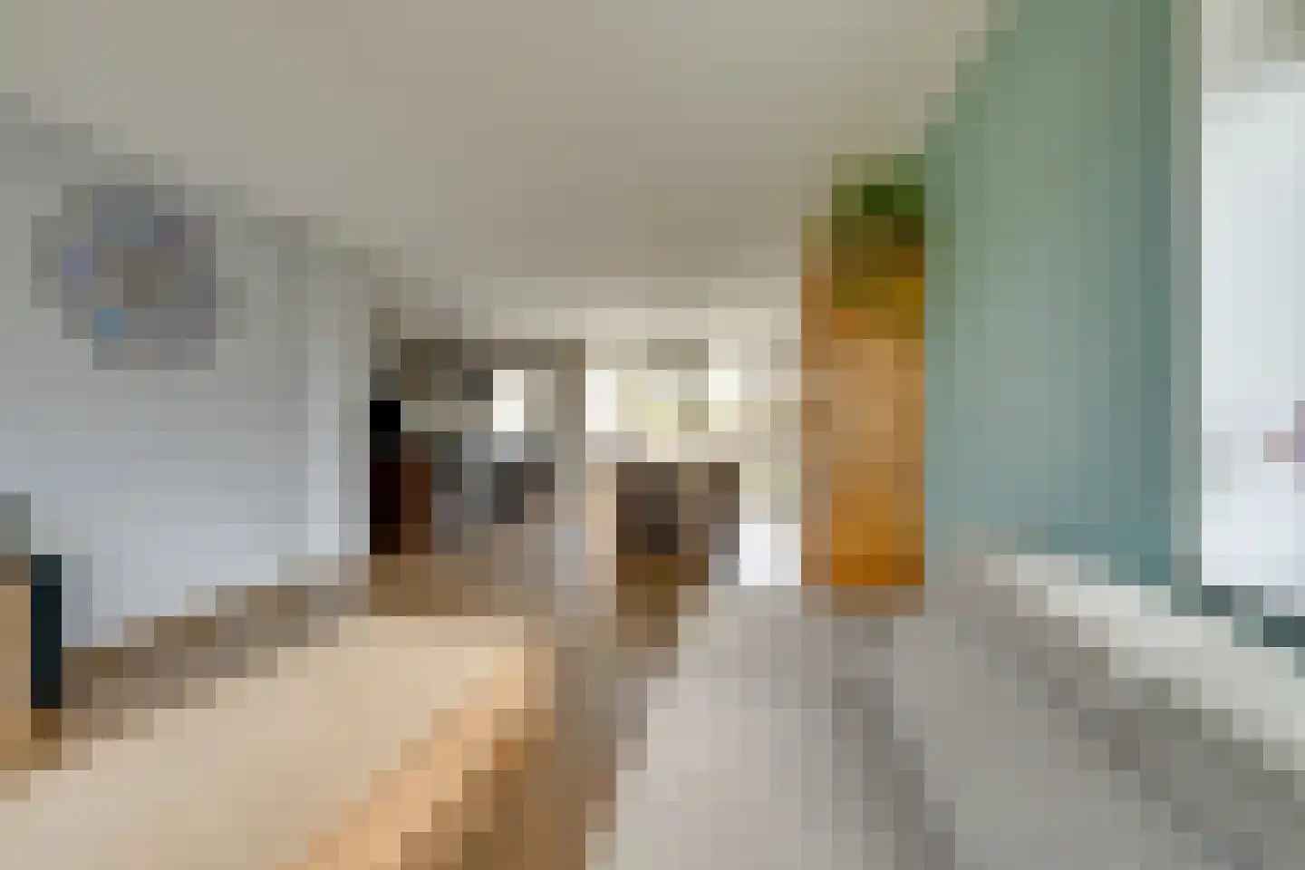 't Rietje 7 Ursem thumbnail 16