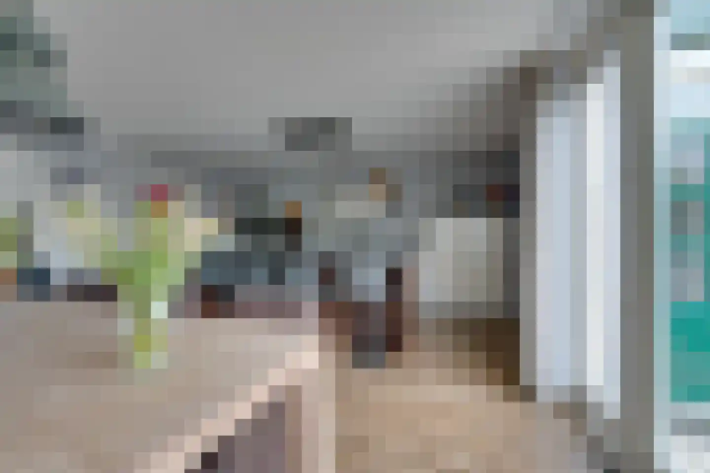 't Rietje 7 Ursem thumbnail 24