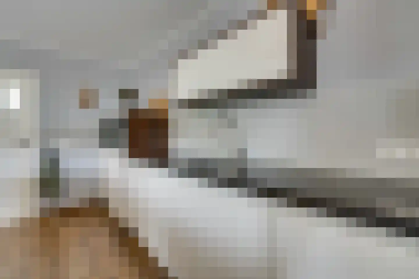 't Rietje 7 Ursem thumbnail 27