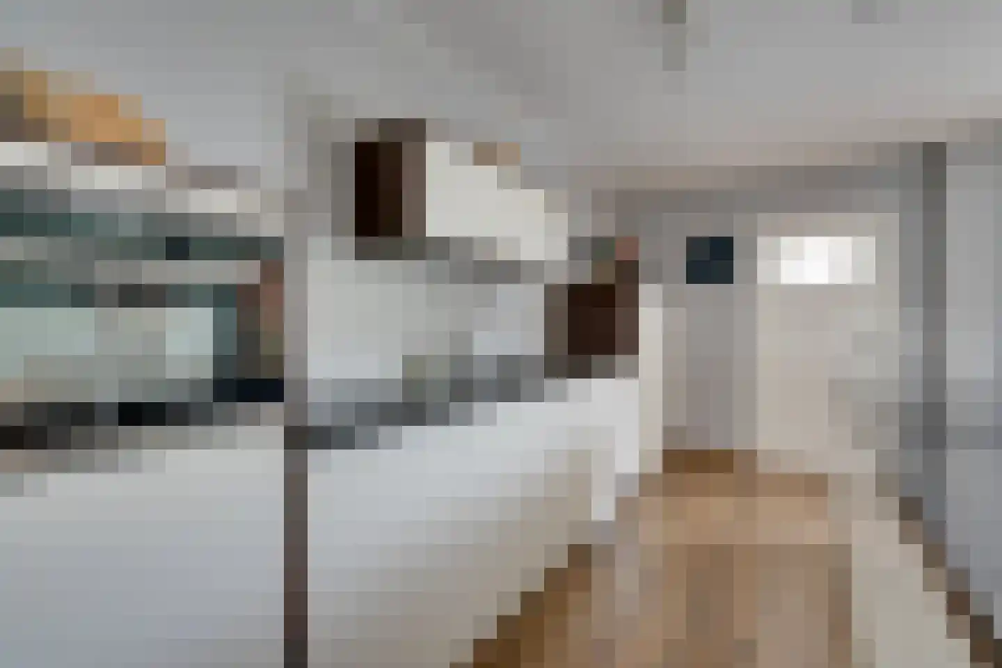 't Rietje 7 Ursem thumbnail 30