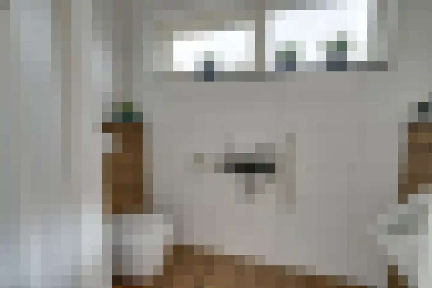 't Rietje 7 Ursem thumbnail 32