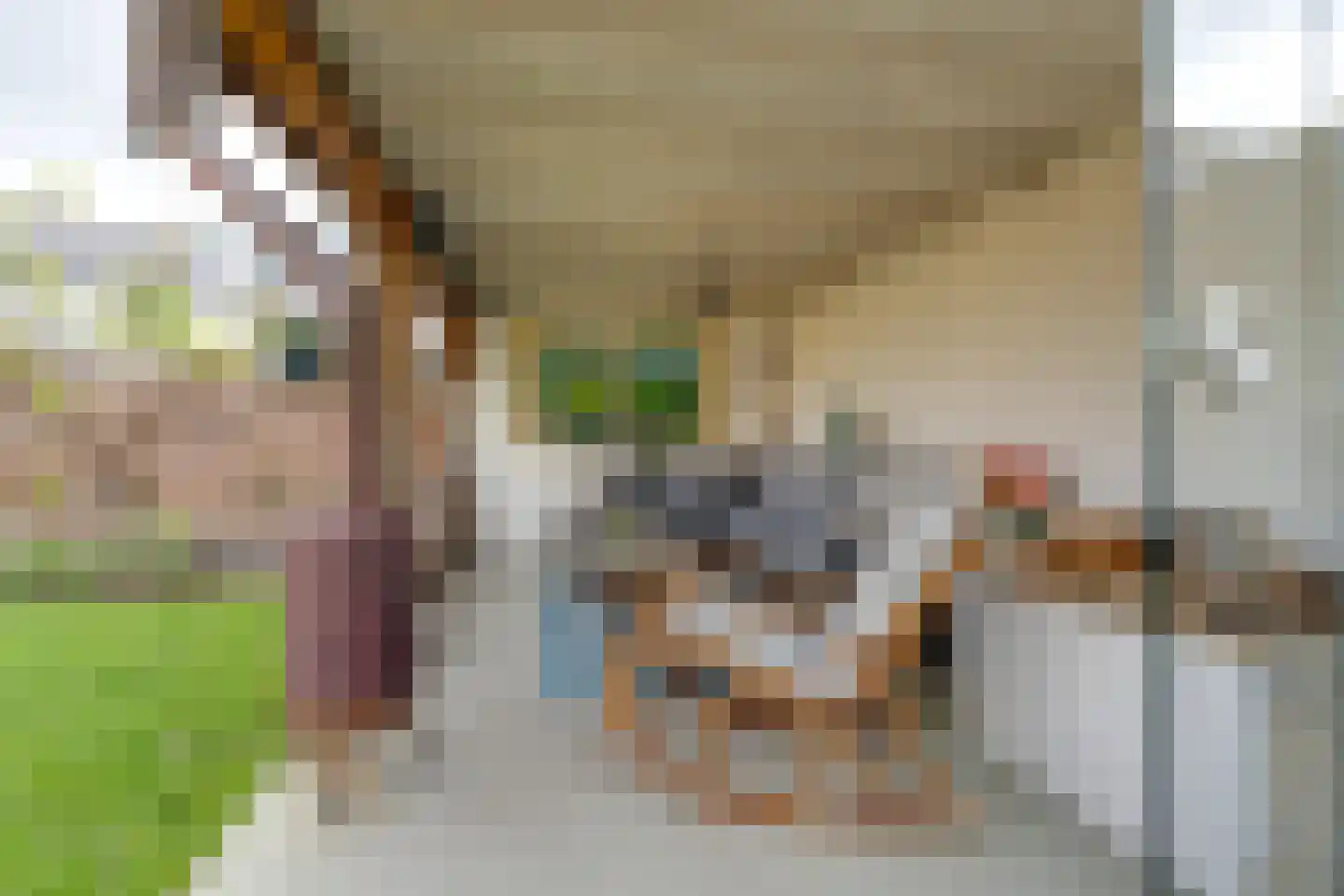't Rietje 7 Ursem thumbnail 37