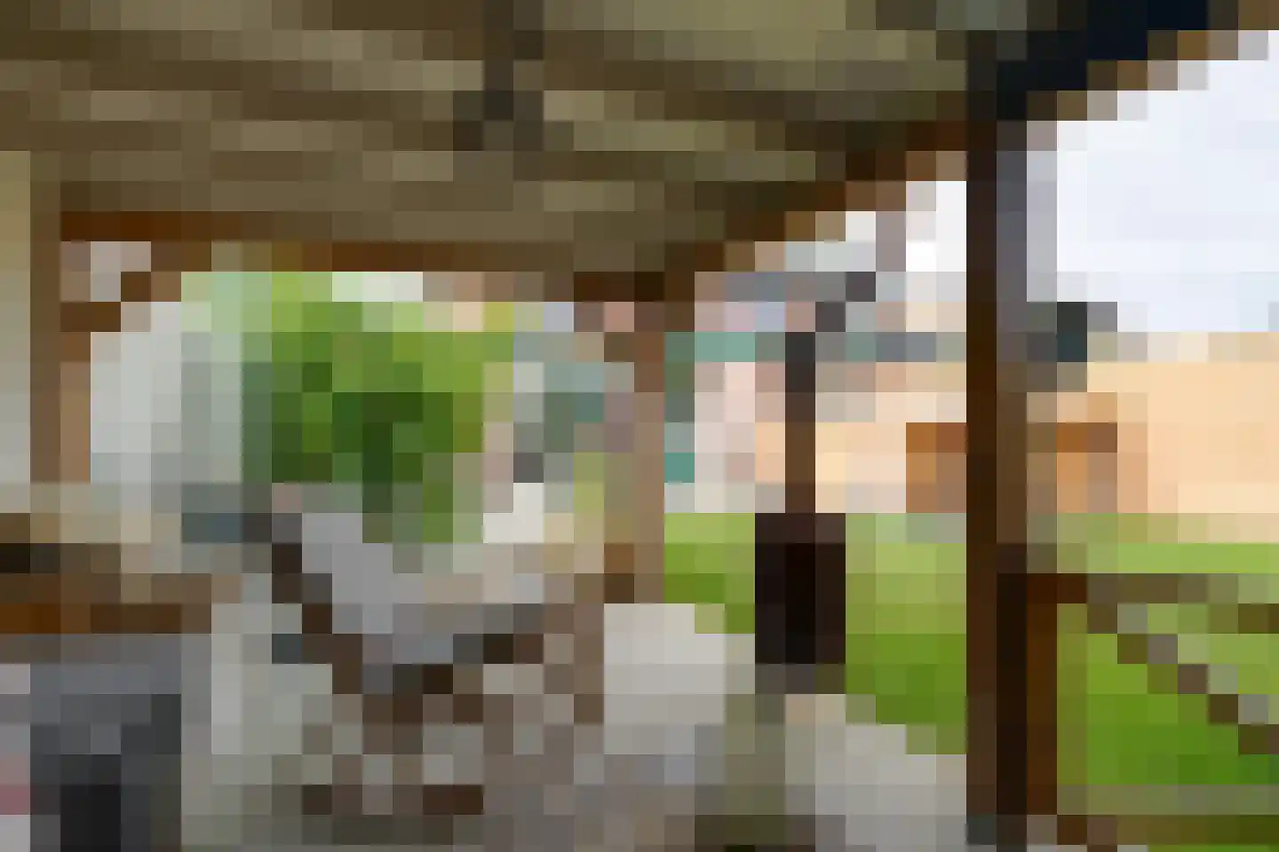 't Rietje 7 Ursem thumbnail 38