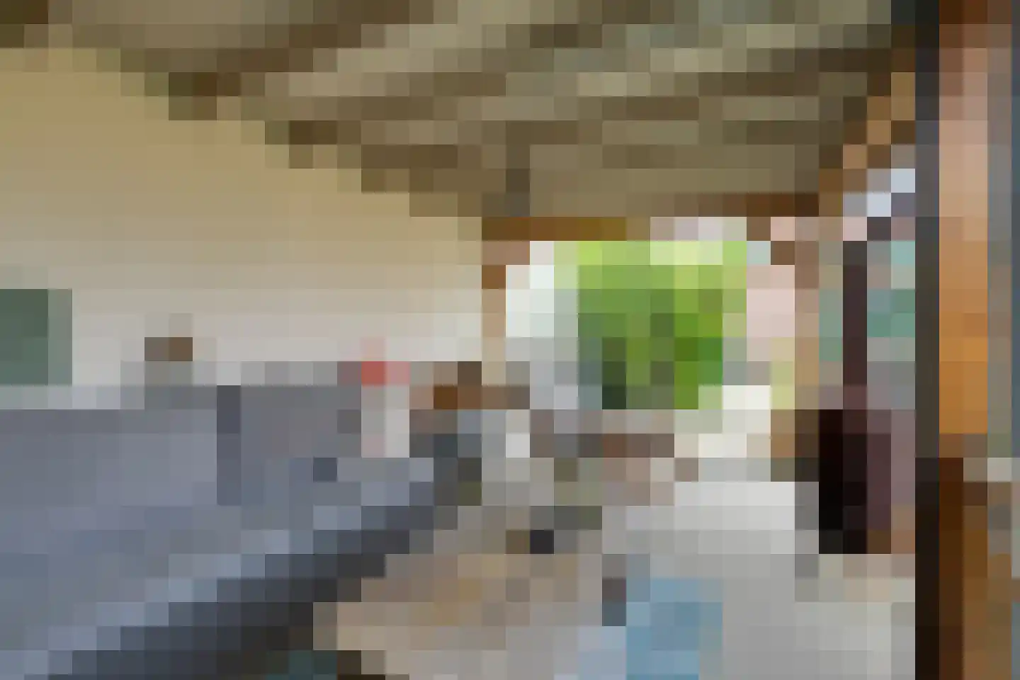 't Rietje 7 Ursem thumbnail 4