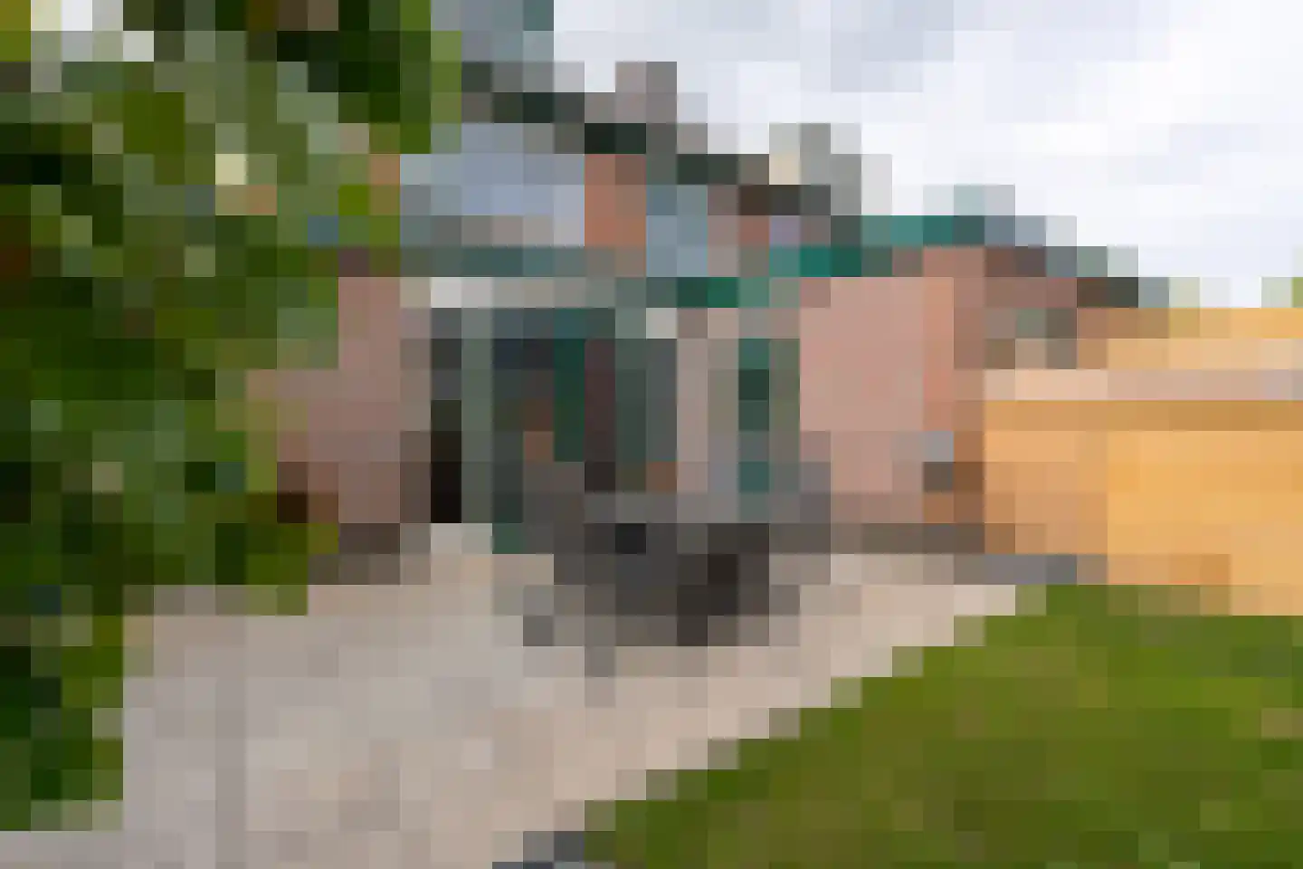 't Rietje 7 Ursem thumbnail 42
