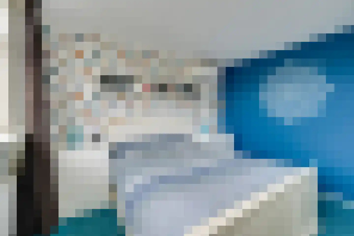 't Rietje 7 Ursem thumbnail 49