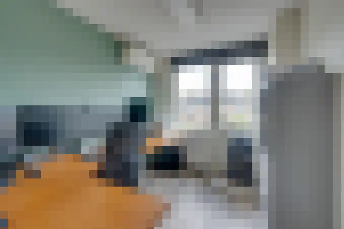 't Rietje 7 Ursem thumbnail 50