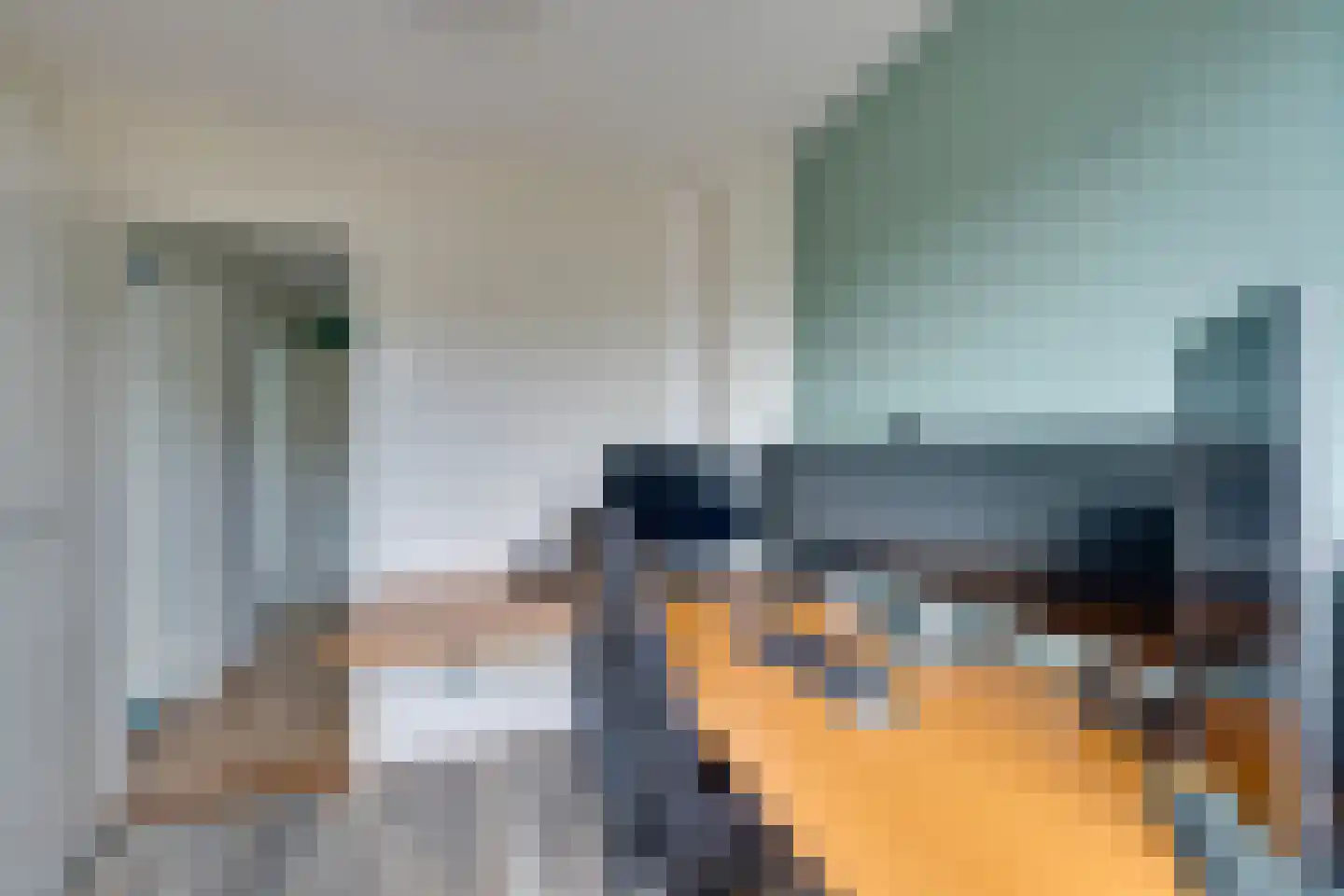 't Rietje 7 Ursem thumbnail 51