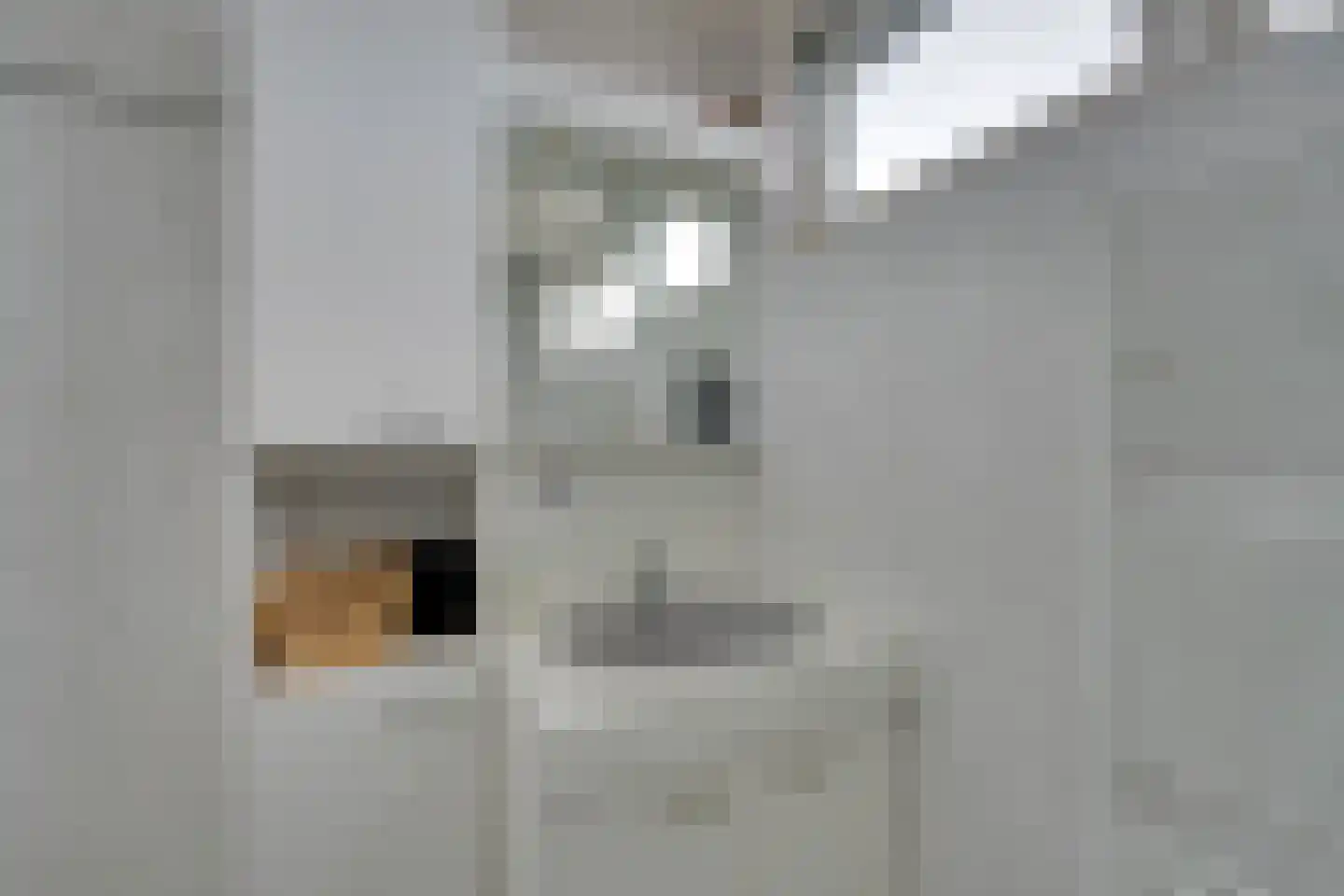 't Rietje 7 Ursem thumbnail 53