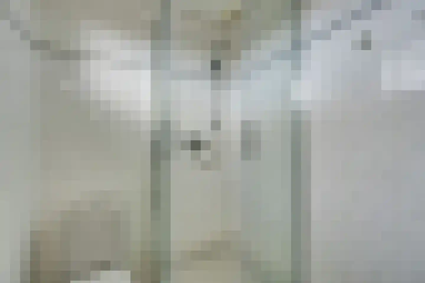 't Rietje 7 Ursem thumbnail 54