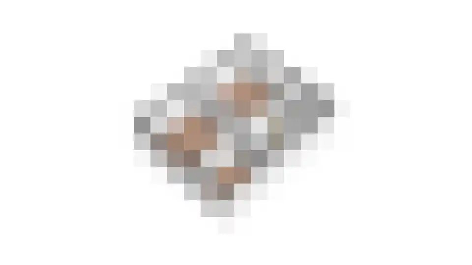 't Rietje 7 Ursem thumbnail 65