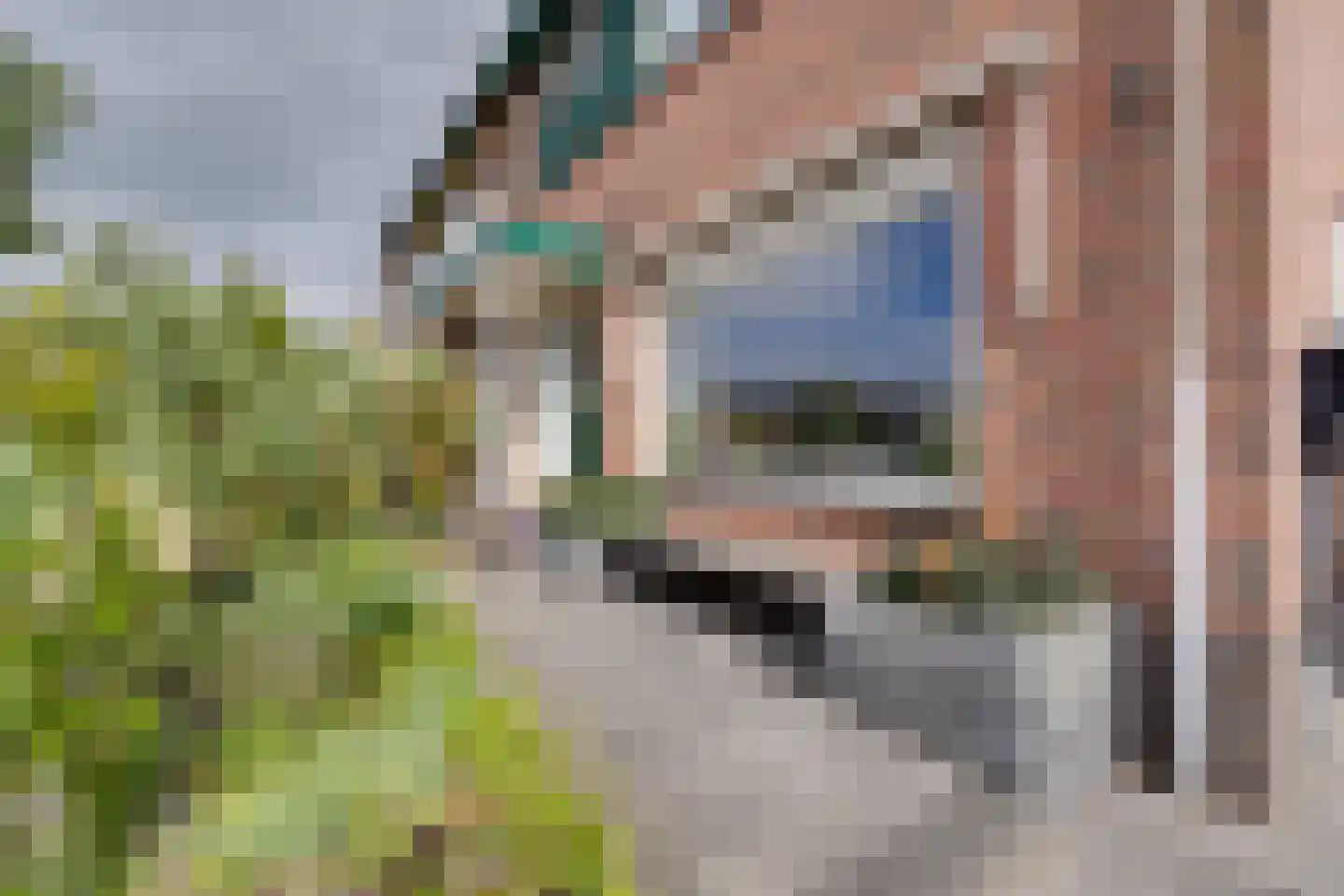 't Rietje 7 Ursem thumbnail 7