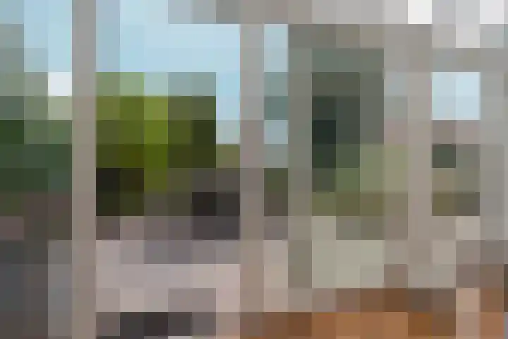 't Rietland 42 Bemmel thumbnail 13