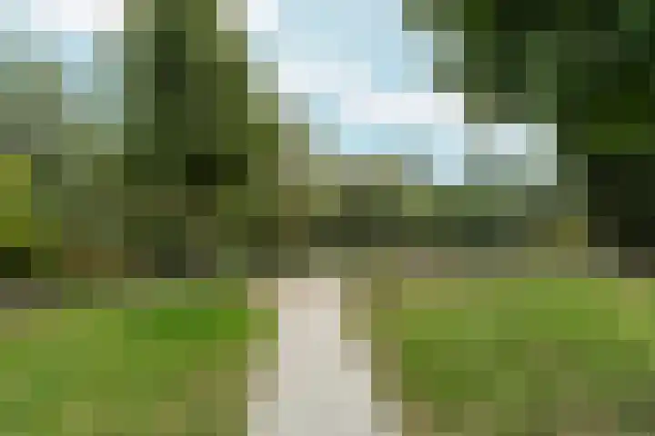 't Rietland 42 Bemmel thumbnail 14