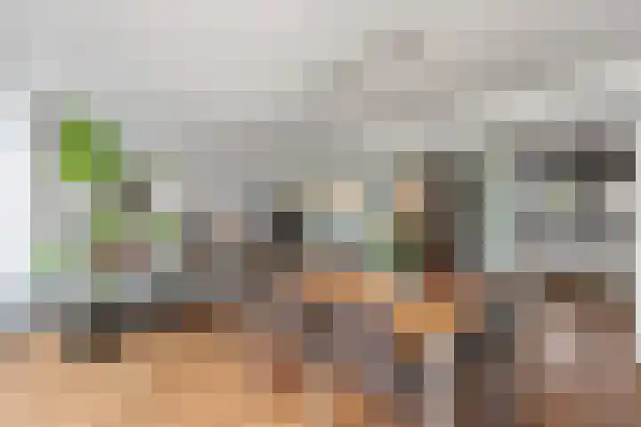 't Rietland 42 Bemmel thumbnail 15