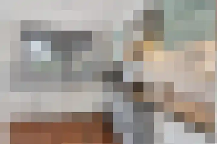 't Rietland 42 Bemmel thumbnail 17
