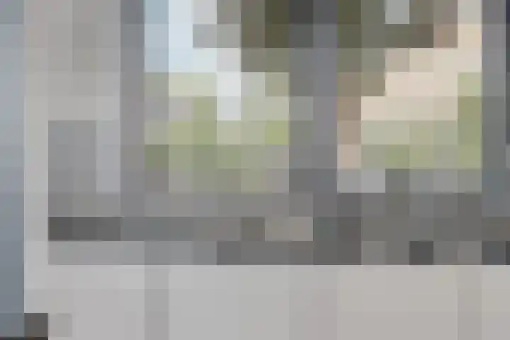 't Rietland 42 Bemmel thumbnail 18
