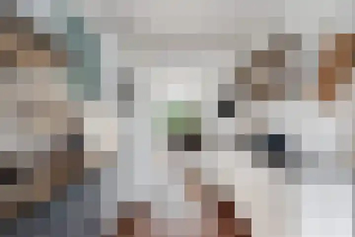 't Rietland 42 Bemmel thumbnail 20