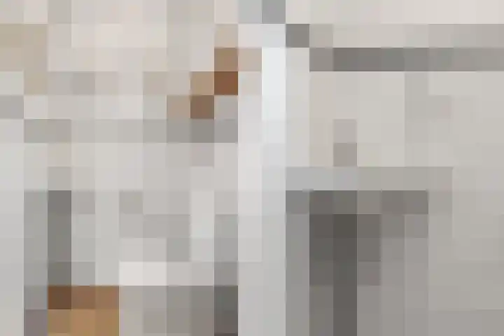 't Rietland 42 Bemmel thumbnail 22