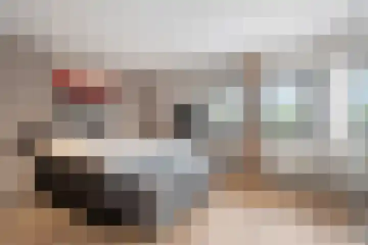 't Rietland 42 Bemmel thumbnail 27