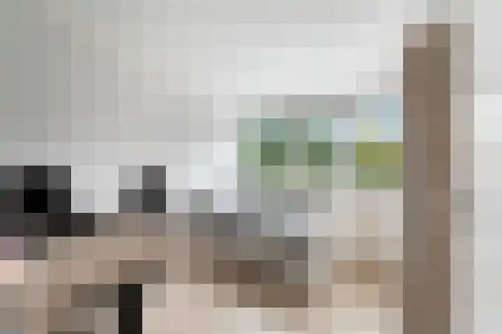 't Rietland 42 Bemmel thumbnail 30