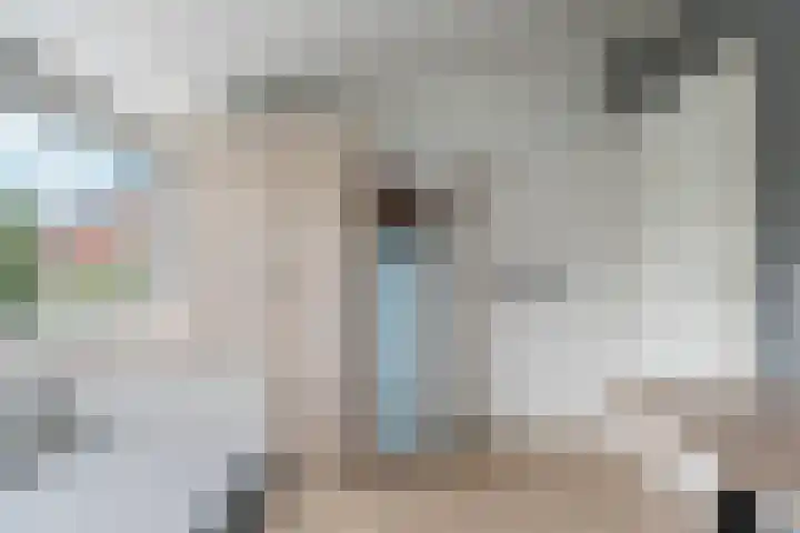 't Rietland 42 Bemmel thumbnail 31