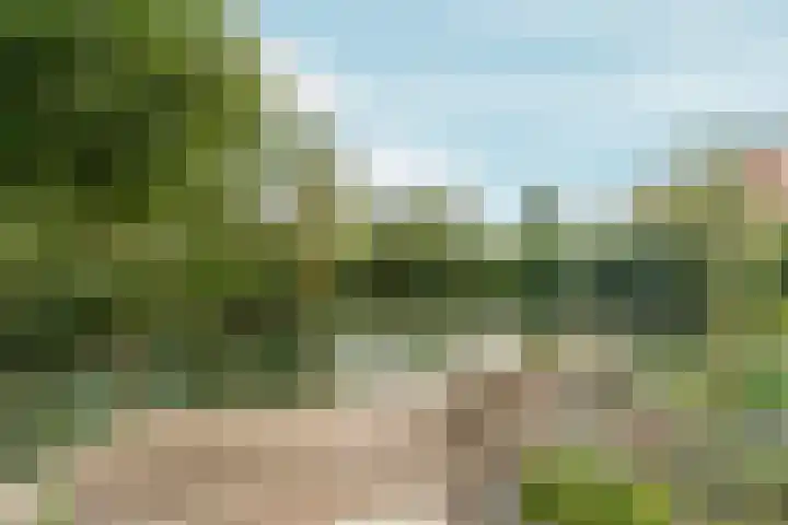 't Rietland 42 Bemmel thumbnail 4