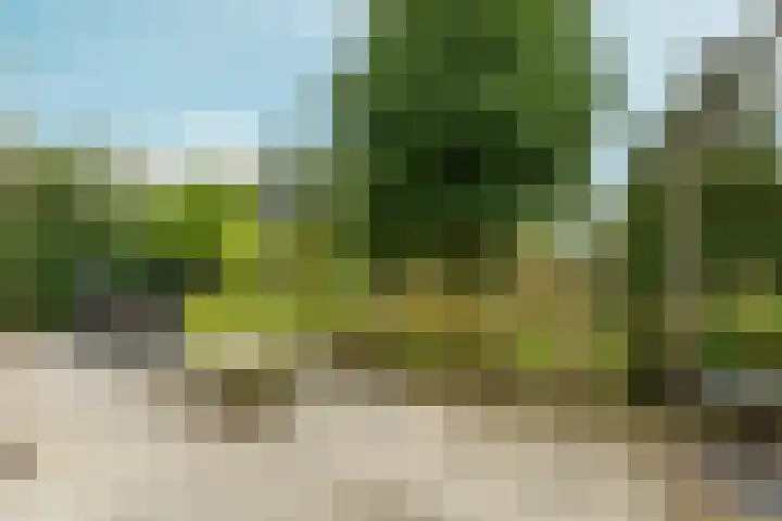 't Rietland 42 Bemmel thumbnail 46