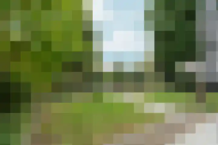 't Rietland 42 Bemmel thumbnail 47
