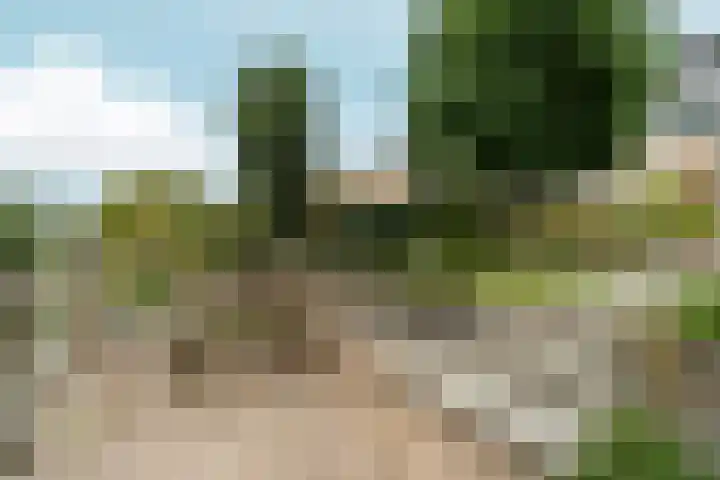 't Rietland 42 Bemmel thumbnail 48
