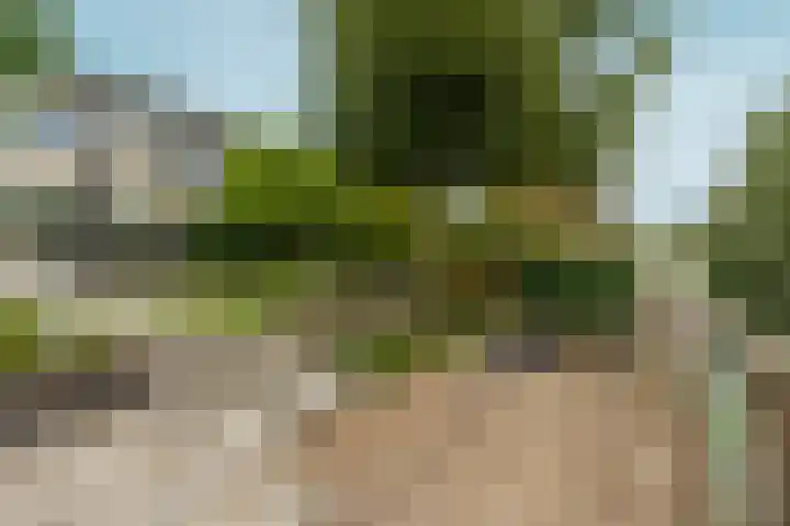 't Rietland 42 Bemmel thumbnail 49