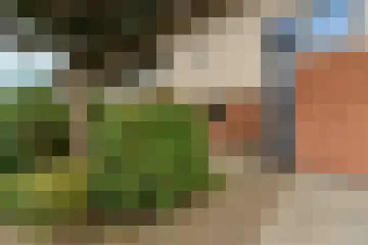 't Rietland 42 Bemmel thumbnail 5