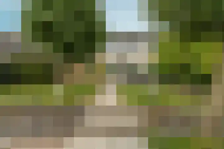 't Rietland 42 Bemmel thumbnail 51